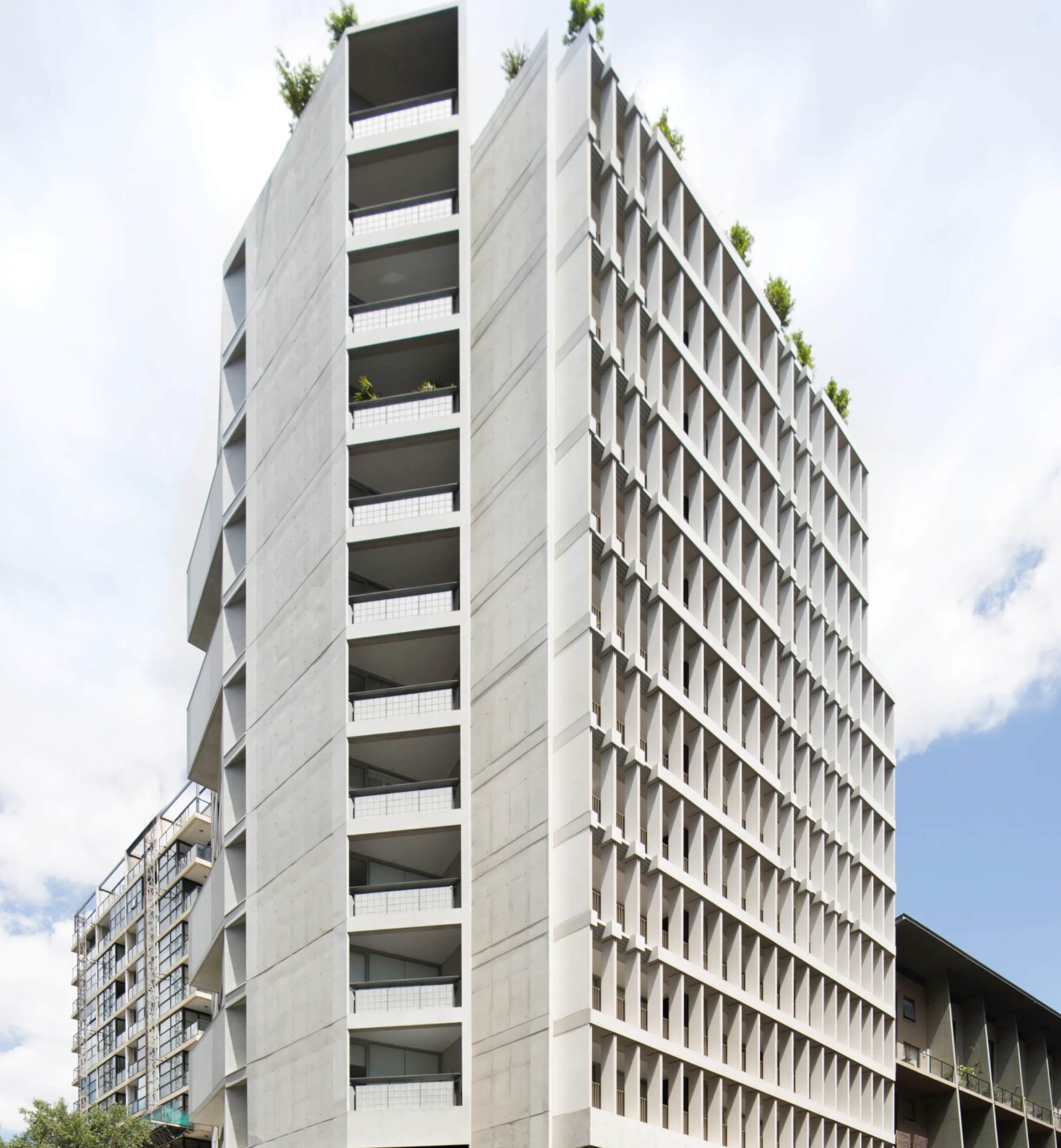 Pelican img 06 result scaled Pelican img 06 result scaled