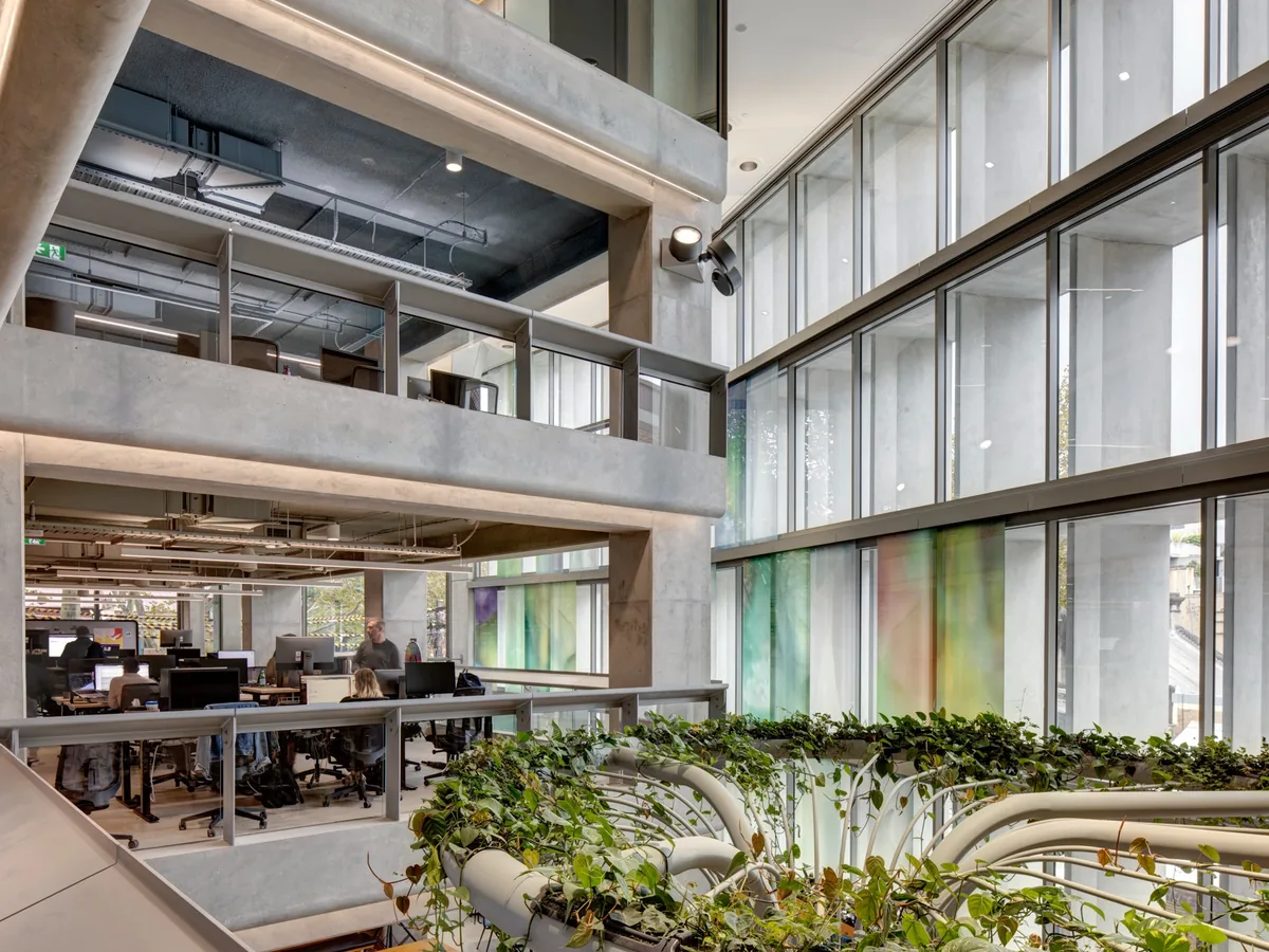 foveaux street office construction sydney atrium greenery foveaux street office construction sydney atrium greenery