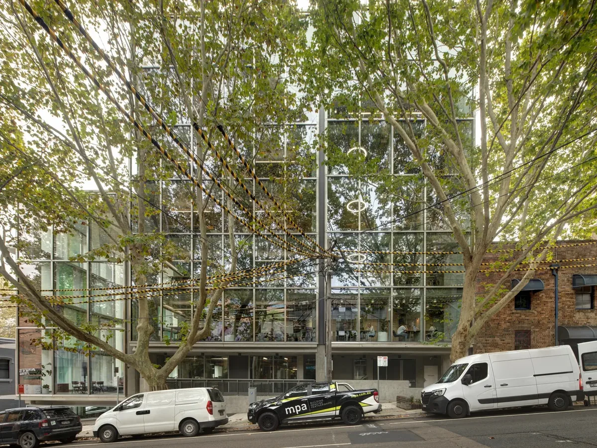 foveaux street office construction sydney tree lined street facade foveaux street office construction sydney tree lined street facade