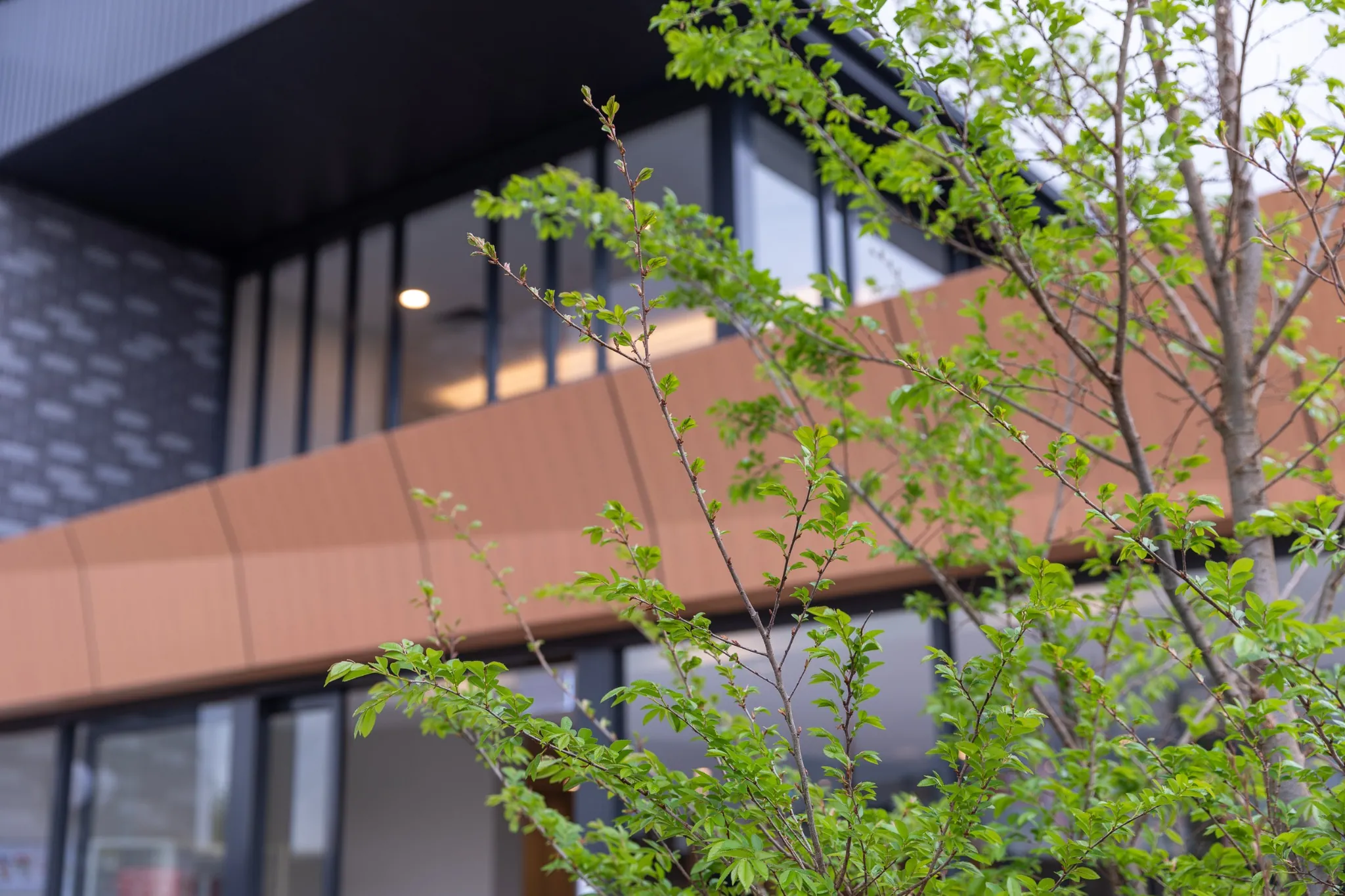 mayflower aged care melbourne facade landscaping