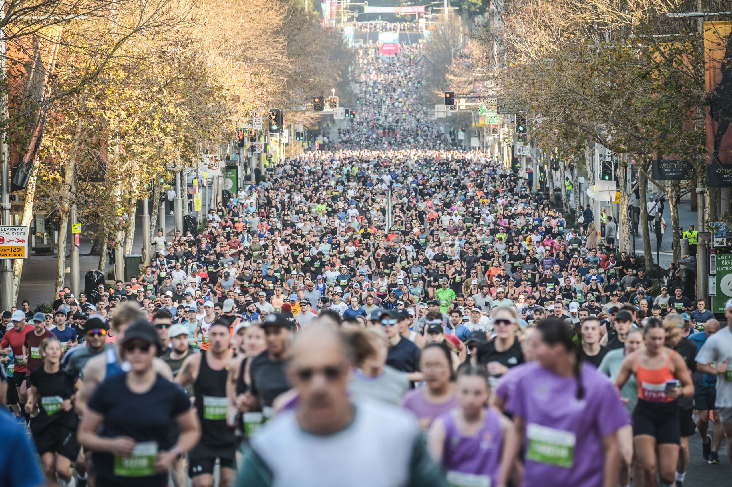 City2Surf 2024 Race in Action